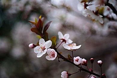 苏打绿与孩子们共享任天堂Switch游戏乐趣